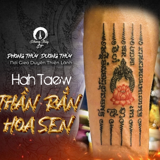 SAKYANT HAH TAEW THẦN RẮN HOA SEN 